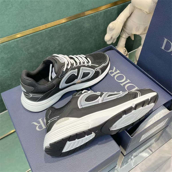 DIOR  B30