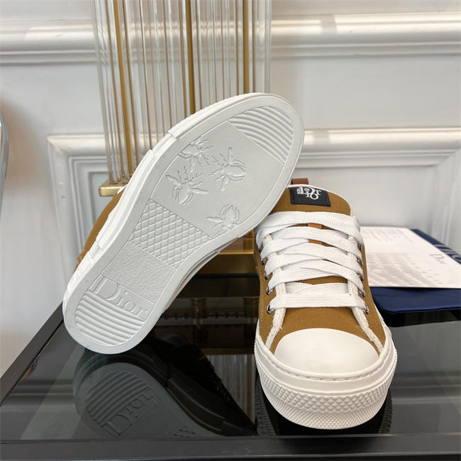 Dior B23 Low Top