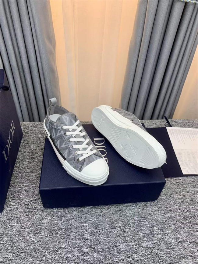Dior B23 Low Top