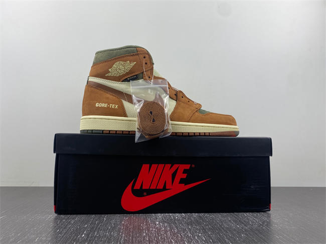 Air Jordan 1 Gore-Tex Jordan 1 High DB2889-100