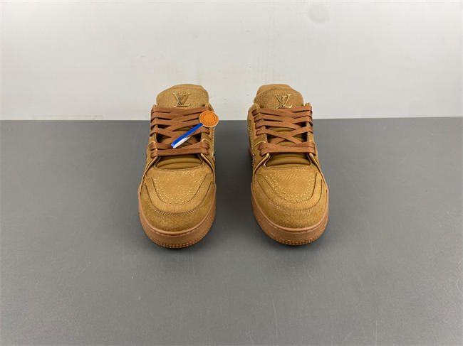 Louis Vuitton LV trainer  x2 110