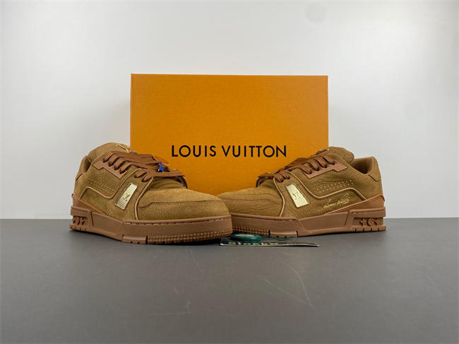 Louis Vuitton LV trainer  x2 110
